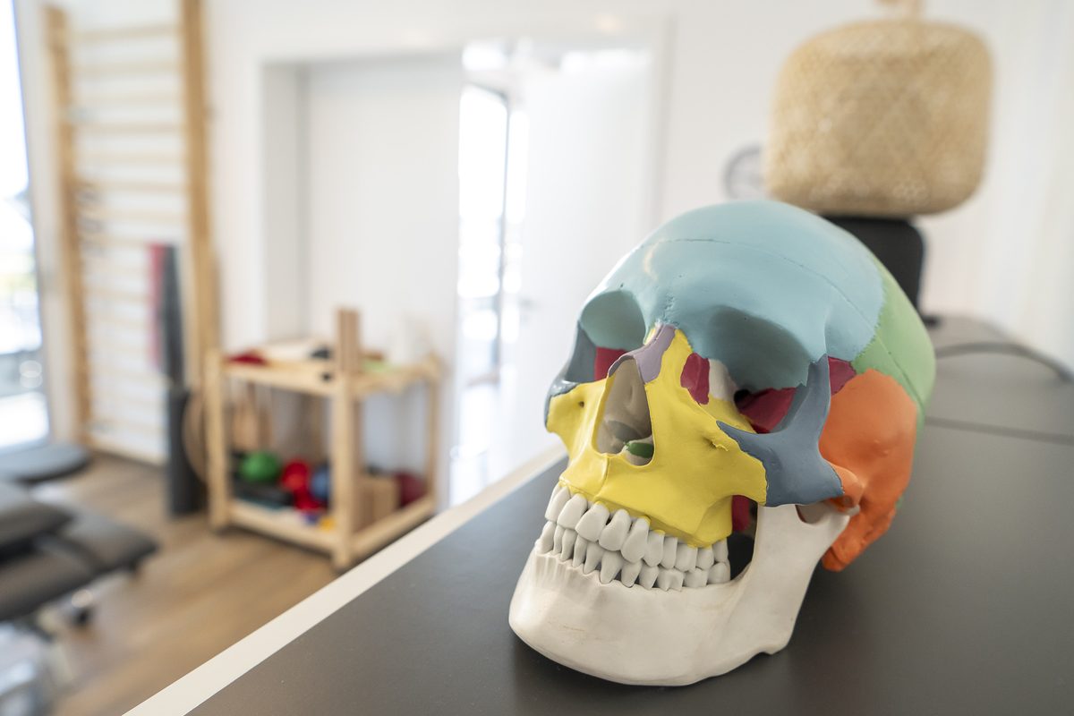 Behandlungsraum mit anatomischem Modell – Fokus auf manuelle Therapie
