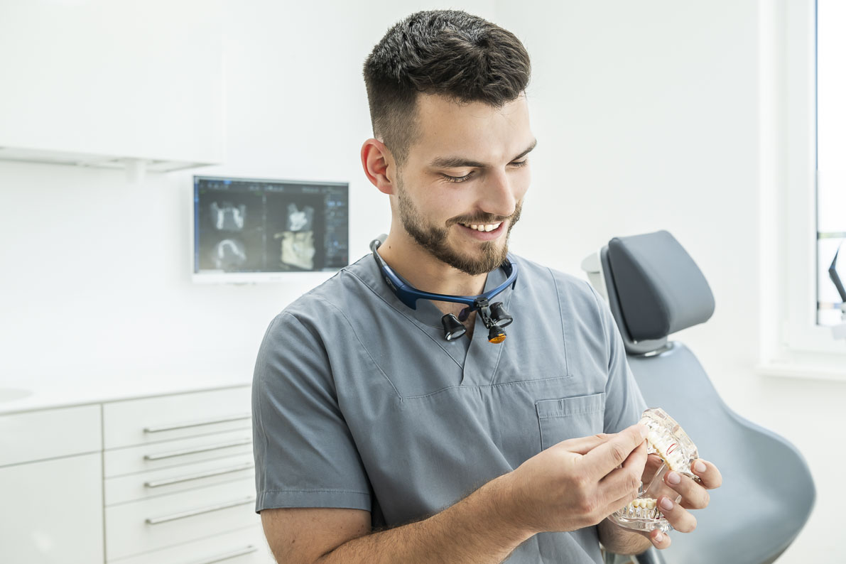 Kollege aus der Zahnmedizin mit Kiefermodell im Behandlungszimmer